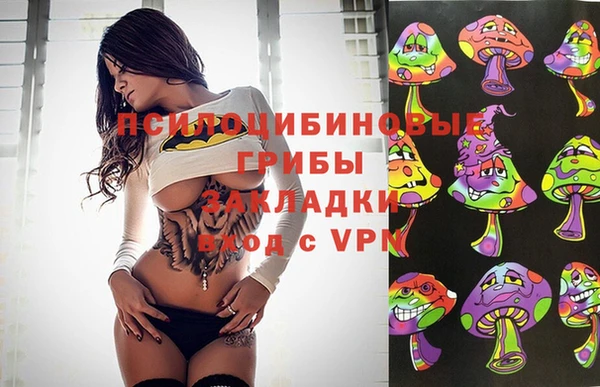 дмт Болохово