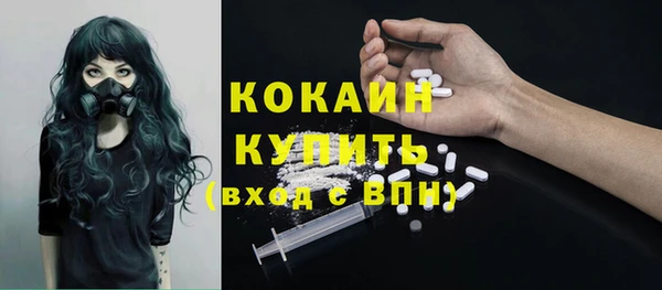 ешки Алексеевка