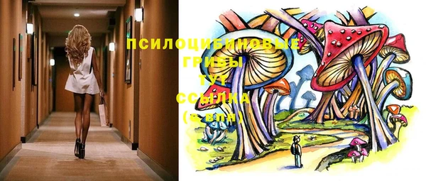 тгк Алексин