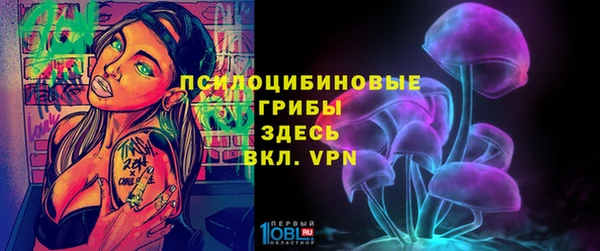 тгк Алексин