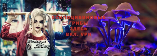 тгк Алексин