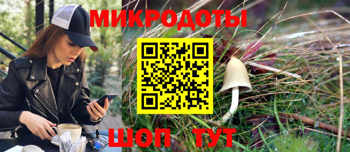 Галлюциногенные грибы Psilocybe Учалы