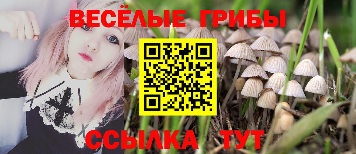 сколько стоит  Галлюциногенные грибы Psilocybine cubensis  Вход с VPN  Учалы 